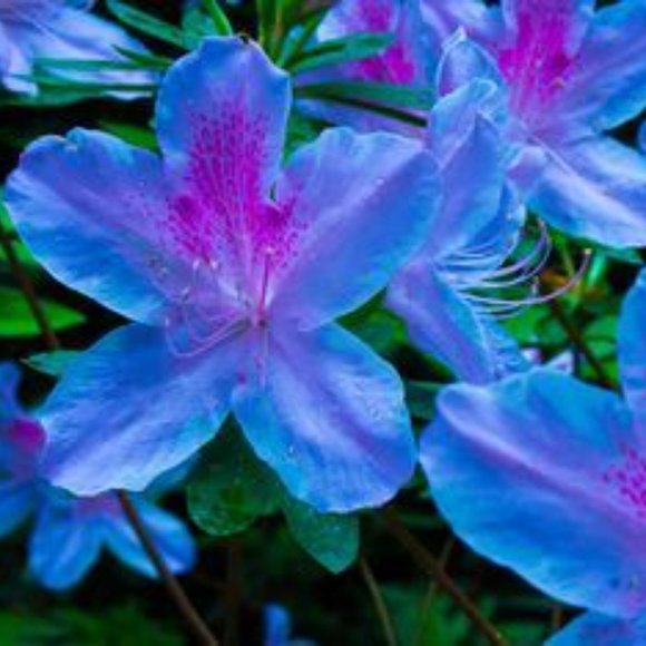 Sterling Silver Blue & Purple Tear CZ Diamond Ring - Picture 2 of 10